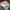 Casual Hat Pria white photo 5