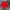 Champion Sportswear Short Pria red photo 2