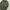 Abercrombie & Fitch Vintage Emo Parka Pria green photo 4