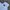 MLB Streetwear T-shirt Pria white black photo 2