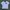MLB Streetwear T-shirt Pria White Black