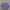 Pull & Bear Coquette Crop top Wanita purple photo 1