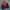 Fila Streetwear Casual Windbreaker Pria black orange photo 4
