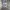 Vintage Jumper Pria gray photo 5