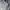 Calvin Klein Pakaian Nasional Hoody Pria gray photo 4
