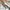 Luxury Pencil skirt Wanita multicolor photo 4