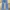 True Religion Vintage Y2K Jeans Pria blue photo 1
