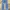 True Religion Vintage Y2K Jeans Pria Blue