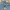 True Religion Vintage Y2K Jeans Pria blue photo 2