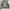 Casual Windbreaker Pria gray photo 2