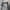 Casual Windbreaker Pria gray photo 4