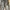 Semantic Design Vintage Y2K Jeans Pria blue photo 2