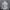 LANVIN Sportswear Casual Track jacket Wanita white photo 2