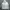 LANVIN Sportswear Casual Track Jacket Wanita White
