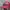 Jeep Vintage Hat Pria red photo 2