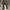 Carhartt Streetwear Jeans Pria multicolor photo 1