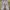 Luxury Flare pants Wanita multicolor photo 1