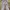 Luxury Flare Pants Wanita Multicolor