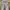 Luxury Flare pants Wanita multicolor photo 5