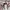 Luxury Flare pants Wanita multicolor photo 3