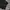 WHO.A.U Casual Fleece Pria black photo 7