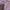 ADA Fashion Casual Skinny jeans Wanita purple photo 2