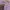 ADA Fashion Casual Skinny Jeans Wanita Purple