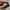Dickies Streetwear Skater Hat Pria tan khaki photo 3