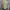 Hollister Casual Harrington jacket Pria tan photo 2