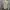 Hollister Casual Harrington Jacket Pria Tan