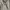Hollister Casual Harrington jacket Pria tan photo 6