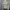 Hollister Casual Harrington jacket Pria tan photo 1