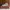VANS Streetwear Skater Sneakers Pria white black photo 1