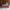 VANS Streetwear Skater Sneakers Pria white blue photo 1