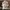 Casual Casual shirt Pria multicolor white photo 1