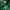 Lacoste Casual Polo shirt Pria green photo 3