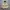 Michael Klein Vintage Streetwear Parka Wanita tan cream photo 1