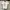 Anna Sui Y2K Goth T-shirt Wanita White