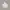 GU Streetwear Minimalist Hoody Pria White Cream
