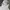 GU Streetwear Minimalist Hoody Pria white cream photo 6