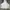 GU Streetwear Minimalist Hoody Pria white cream photo 2