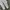 GU Streetwear Minimalist Hoody Pria white cream photo 5
