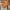 Avirex Vintage Leather jacket Pria tan photo 7