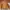 Avirex Vintage Leather jacket Pria tan photo 6
