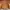Avirex Vintage Leather jacket Pria tan photo 1