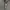 Nike Streetwear Sportswear Hoody Wanita gray photo 5