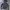 Nike Streetwear Sportswear Hoody Wanita gray photo 8