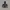 Nike Streetwear Sportswear Hoody Wanita gray photo 1