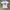 Hysteric Glamour Y2K Emo T-shirt Wanita white photo 1