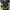 Crumpler Casual Bag Pria green black photo 5